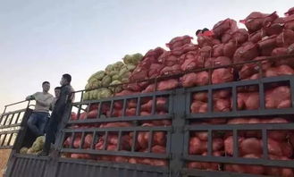 2019年3月3日 星期日