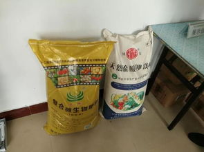 耕耘正當時 四 什么樣的春管讓河南小麥穩坐全國第一