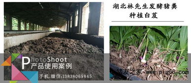 哪個(gè)廠的豬糞發(fā)酵劑用的人多產(chǎn)品靠譜