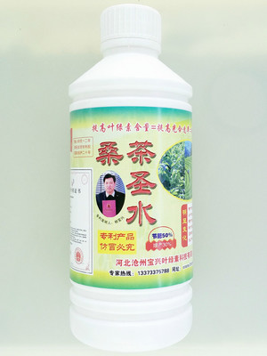 綠圣葉面肥助力桑茶高產(chǎn)優(yōu)質(zhì)——河北綠圣生物科技廠家直供