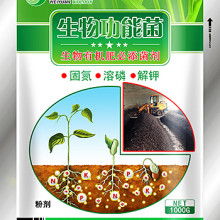 仙慶精品有機(jī)肥 助力綠色農(nóng)業(yè)，提升土壤活力