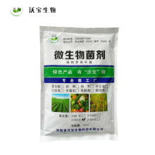 2021年微生物肥料市場行情深度解析 價(jià)格、報(bào)價(jià)與批發(fā)渠道探秘